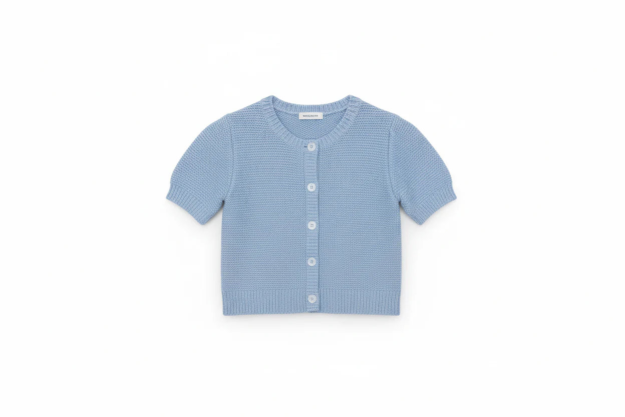 J. Society Short Sleeve Seed Stitch Cardigan - Sky