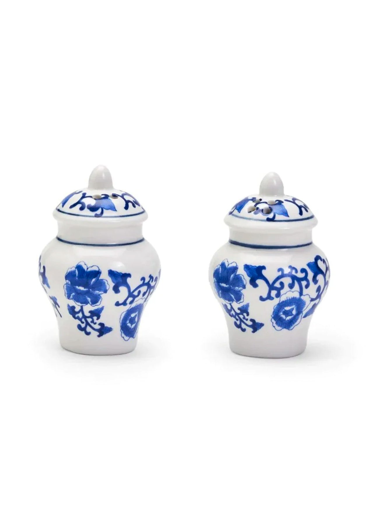 Mini Ginger Jar Salt & Pepper Shaker - Set of 2